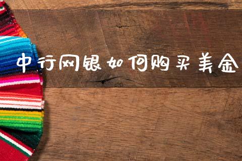 中行网银如何购买美金_https://wap.yjjixie.cn_港股行情_第1张