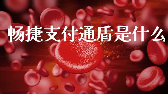 畅捷支付通盾是什么_https://wap.yjjixie.cn_港股行情_第1张