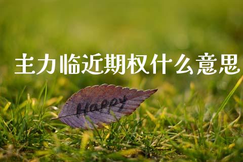 主力临近期权什么意思_https://wap.yjjixie.cn_商业资讯_第1张