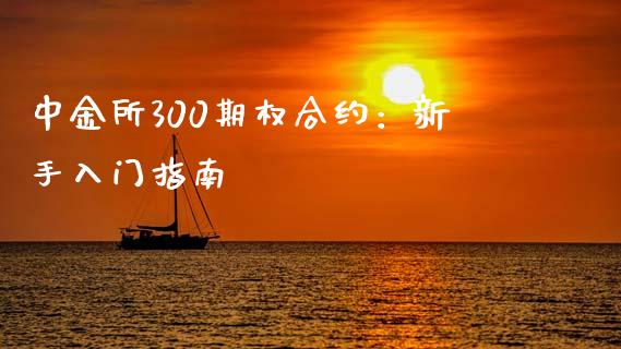 中金所300期权合约：新手入门指南_https://wap.yjjixie.cn_保险理财_第1张