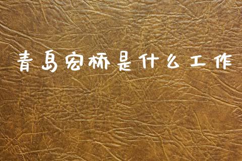 青岛宏桥是什么工作_https://wap.yjjixie.cn_商业资讯_第1张