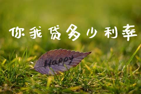你我贷多少利率_https://wap.yjjixie.cn_港股行情_第1张