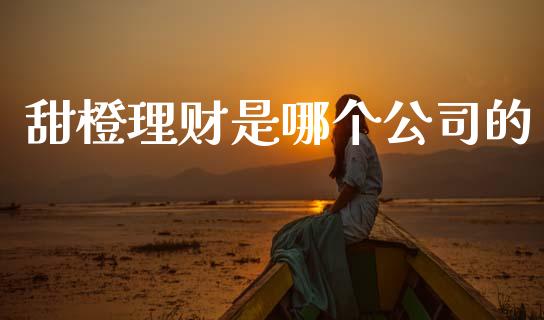 甜橙理财是哪个公司的_https://wap.yjjixie.cn_证券市场_第1张