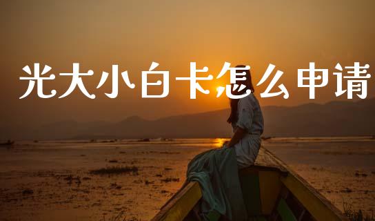 光大小白卡怎么申请_https://wap.yjjixie.cn_港股行情_第1张
