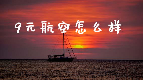 9元航空怎么样_https://wap.yjjixie.cn_保险理财_第1张