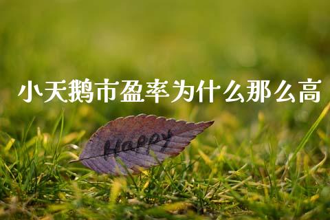 小天鹅市盈率为什么那么高_https://wap.yjjixie.cn_港股行情_第1张