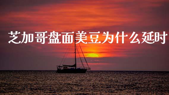 芝加哥盘面美豆为什么延时_https://wap.yjjixie.cn_证券市场_第1张