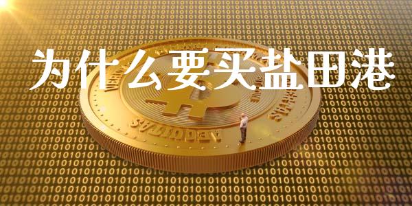 为什么要买盐田港_https://wap.yjjixie.cn_保险理财_第1张
