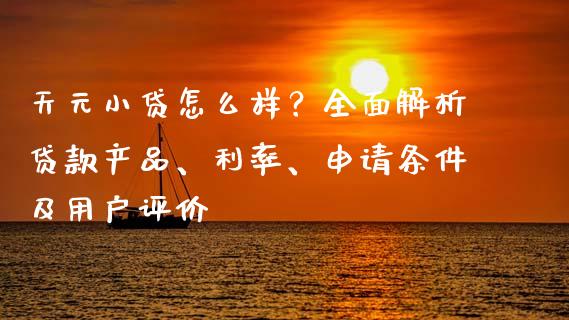 天元小贷怎么样？全面解析贷款产品、利率、申请条件及用户评价_https://wap.yjjixie.cn_港股行情_第1张