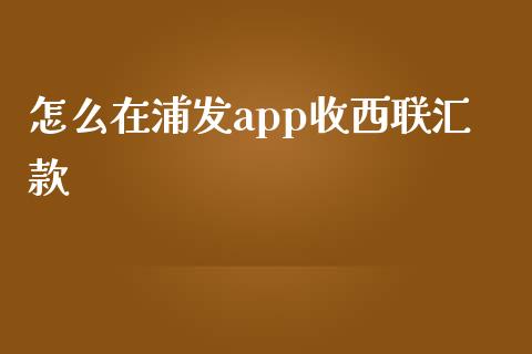 怎么在浦发app收西联汇款_https://wap.yjjixie.cn_港股行情_第1张