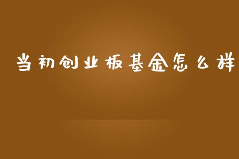 当初创业板基金怎么样_https://wap.yjjixie.cn_保险理财_第1张