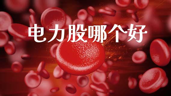 电力股哪个好_https://wap.yjjixie.cn_保险理财_第1张
