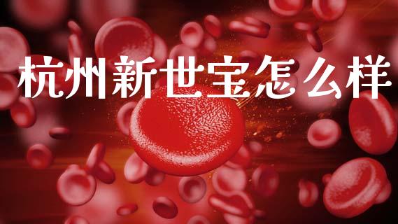 杭州新世宝怎么样_https://wap.yjjixie.cn_证券市场_第1张