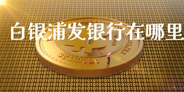 白银浦发银行在哪里_https://wap.yjjixie.cn_商业资讯_第1张