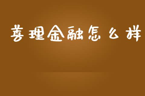 善理金融怎么样_https://wap.yjjixie.cn_港股行情_第1张
