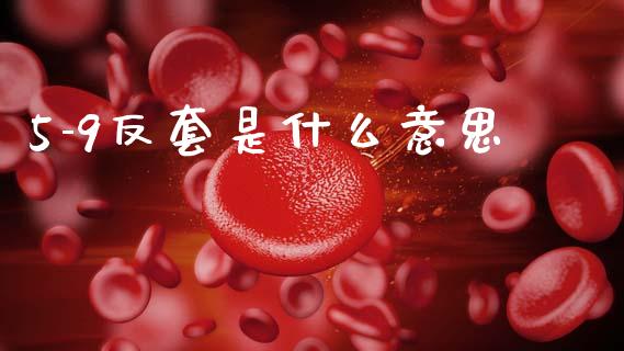 5-9反套是什么意思_https://wap.yjjixie.cn_商业资讯_第1张