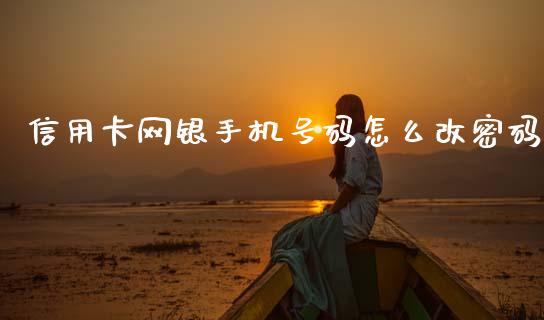 信用卡网银手机号码怎么改密码_https://wap.yjjixie.cn_保险理财_第1张