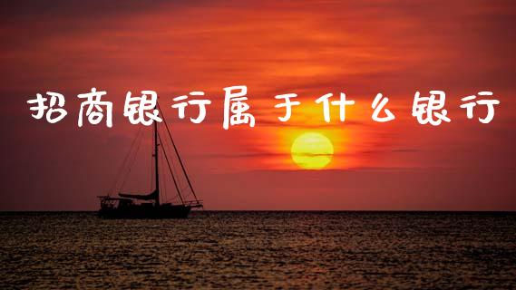 招商银行属于什么银行_https://wap.yjjixie.cn_证券市场_第1张