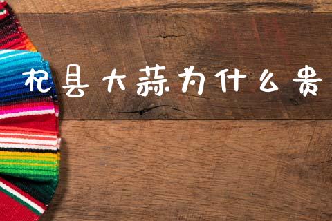 杞县大蒜为什么贵_https://wap.yjjixie.cn_商业资讯_第1张