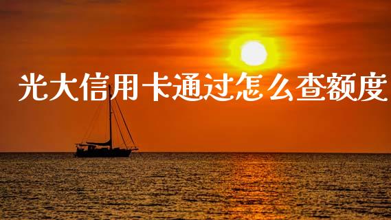 光大信用卡通过怎么查额度_https://wap.yjjixie.cn_证券市场_第1张