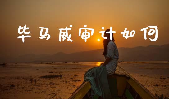 毕马威审计如何_https://wap.yjjixie.cn_证券市场_第1张