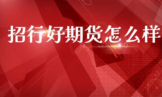 招行好期货怎么样_https://wap.yjjixie.cn_商业资讯_第1张