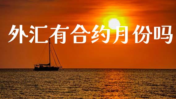 外汇有合约月份吗_https://wap.yjjixie.cn_证券市场_第1张