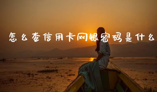 怎么查信用卡网银密码是什么_https://wap.yjjixie.cn_港股行情_第1张