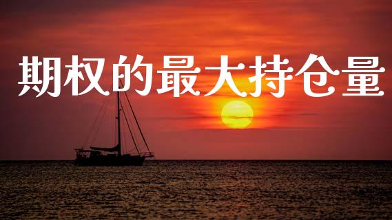 期权的最大持仓量_https://wap.yjjixie.cn_证券市场_第1张