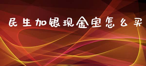民生加银现金宝怎么买_https://wap.yjjixie.cn_保险理财_第1张