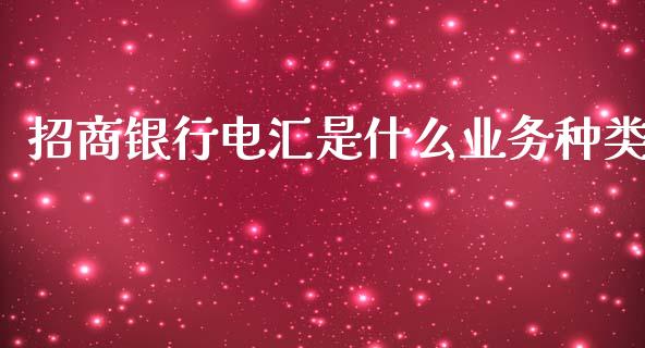 招商银行电汇是什么业务种类_https://wap.yjjixie.cn_商业资讯_第1张