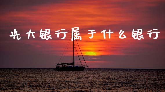 光大银行属于什么银行_https://wap.yjjixie.cn_保险理财_第1张