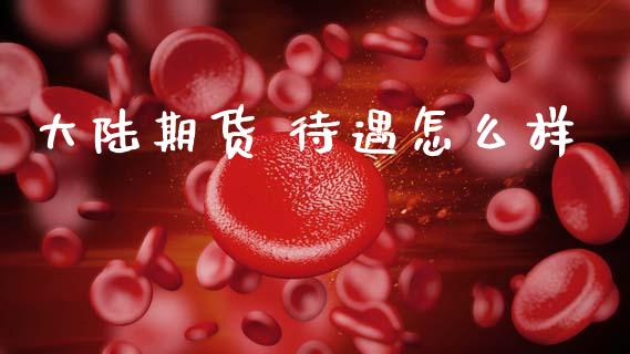 大陆期货 待遇怎么样_https://wap.yjjixie.cn_商业资讯_第1张