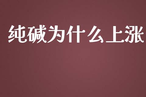 纯碱为什么上涨_https://wap.yjjixie.cn_港股行情_第1张