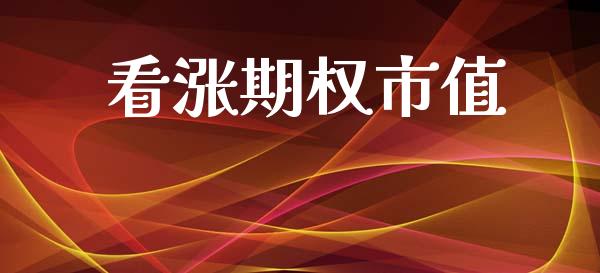 看涨期权市值_https://wap.yjjixie.cn_保险理财_第1张