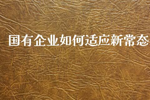 国有企业如何适应新常态_https://wap.yjjixie.cn_保险理财_第1张