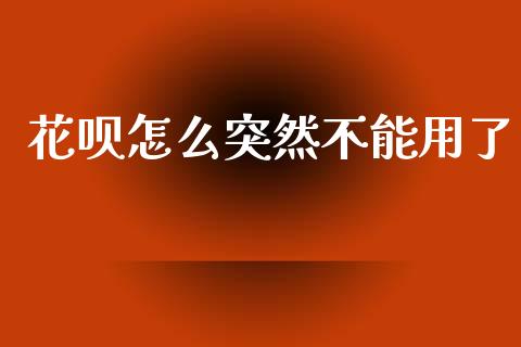花呗怎么突然不能用了_https://wap.yjjixie.cn_保险理财_第1张