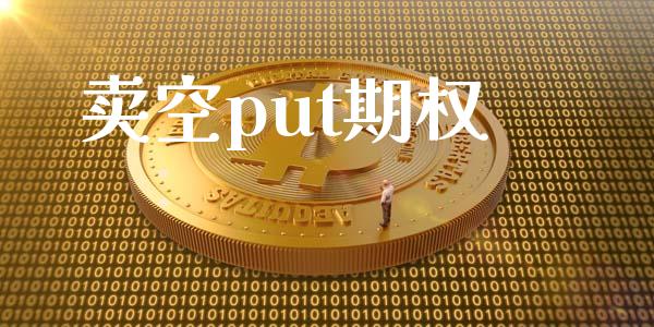 卖空put期权_https://wap.yjjixie.cn_保险理财_第1张