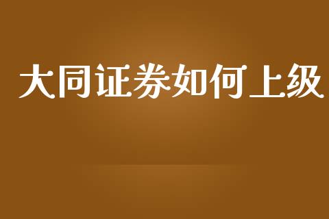 大同证券如何上级_https://wap.yjjixie.cn_证券市场_第1张