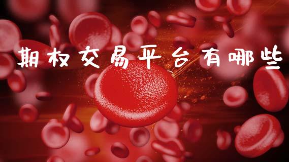 期权交易平台有哪些_https://wap.yjjixie.cn_港股行情_第1张