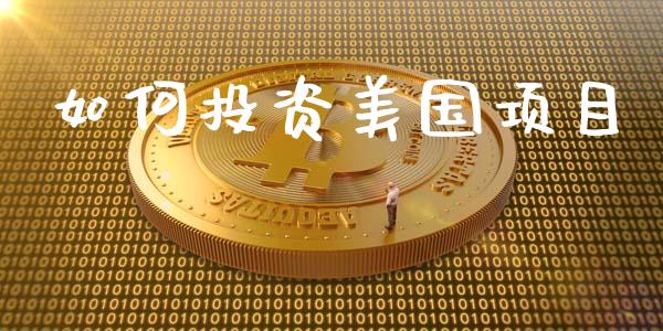 如何投资美国项目_https://wap.yjjixie.cn_证券市场_第1张