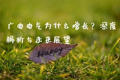广电电气为什么增长？深度解析与未来展望_https://wap.yjjixie.cn_港股行情_第1张