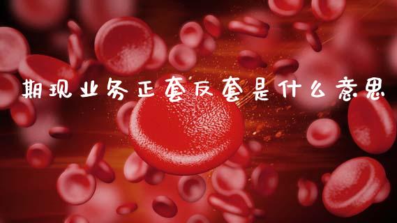 期现业务正套反套是什么意思_https://wap.yjjixie.cn_证券市场_第1张