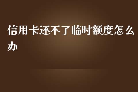 信用卡还不了临时额度怎么办_https://wap.yjjixie.cn_港股行情_第1张