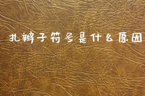 扎辫子符号是什么原因_https://wap.yjjixie.cn_商业资讯_第1张