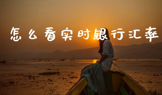 怎么看实时银行汇率_https://wap.yjjixie.cn_商业资讯_第1张