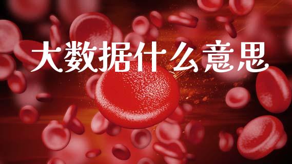 大数据什么意思_https://wap.yjjixie.cn_商业资讯_第1张