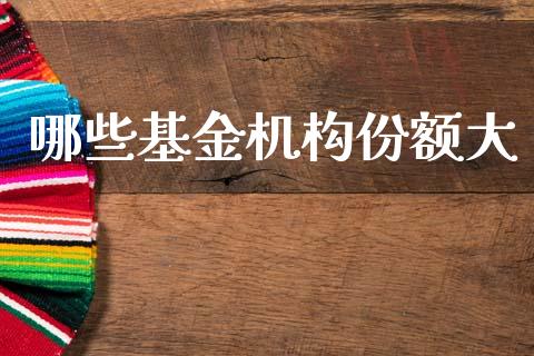 哪些基金机构份额大_https://wap.yjjixie.cn_商业资讯_第1张