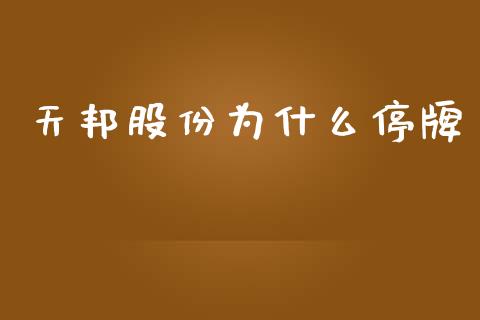 天邦股份为什么停牌_https://wap.yjjixie.cn_商业资讯_第1张