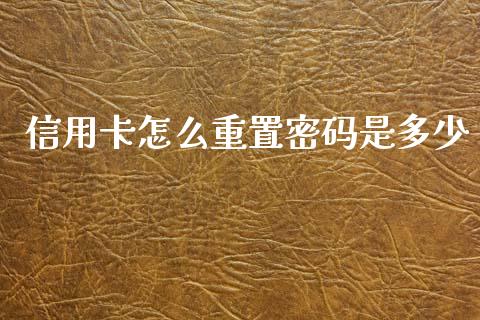 信用卡怎么重置密码是多少_https://wap.yjjixie.cn_保险理财_第1张